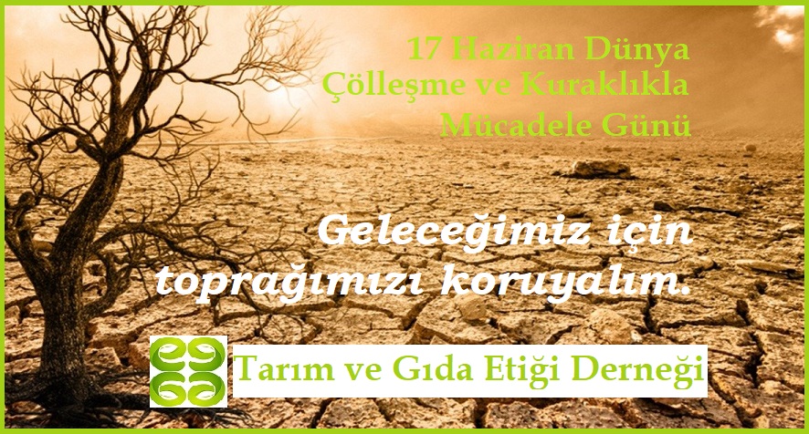 <h1>17 Haziran Dünya Çölleşme ve Kuraklıkla Mücadele Günü</h1>